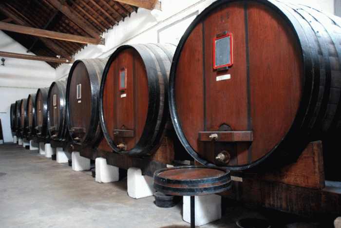 Alcobaça 와인 박물관